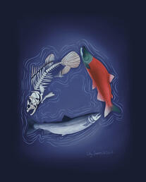 Salmon Cycle